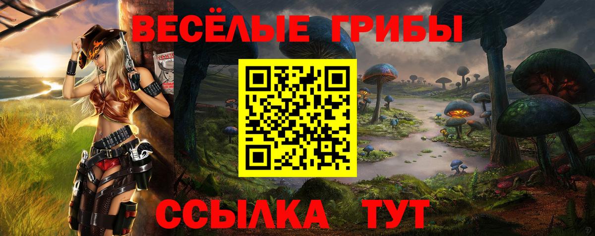 Псилоцибиновые грибы мицелий Каспийск