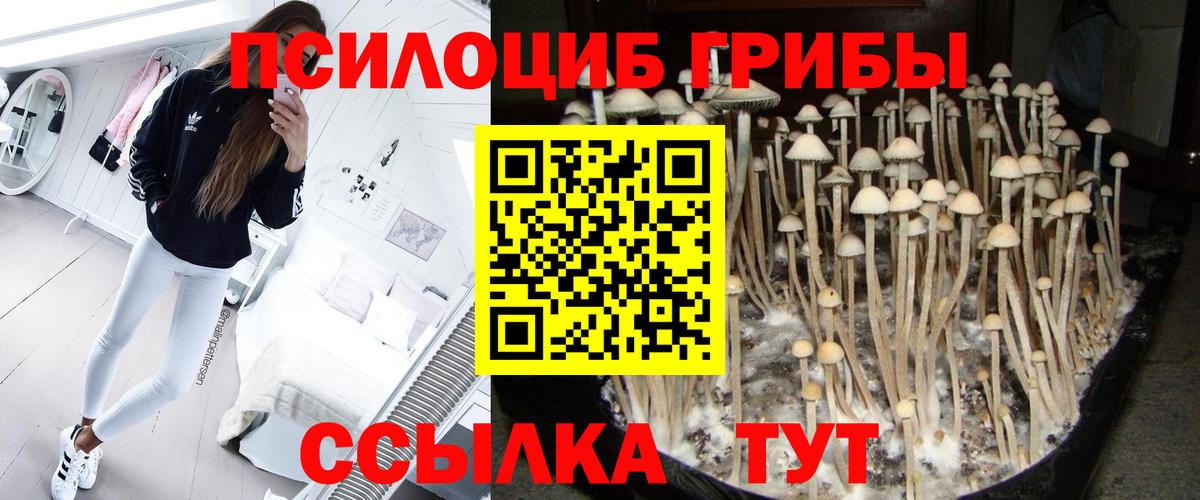 Псилоцибиновые грибы Psilocybe  Галлюциногенные грибы GOLDEN TEACHER  Каспийск  Вход с VPN 